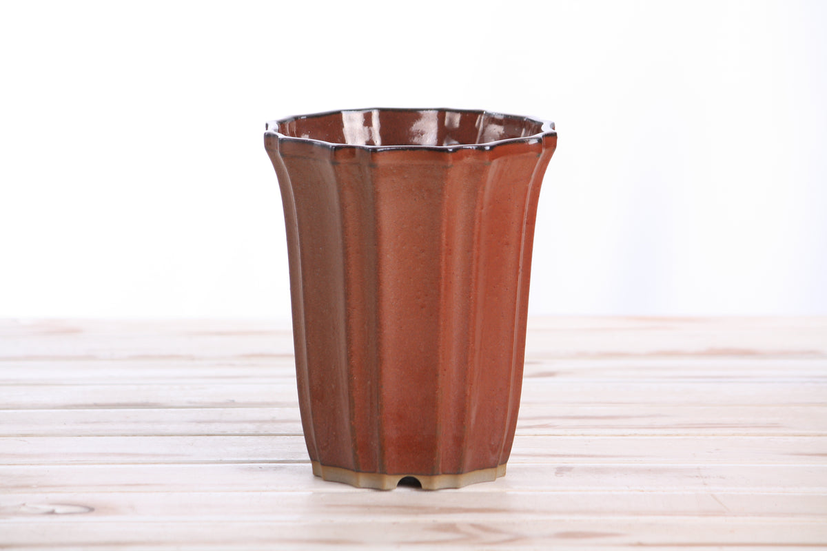 Willow Bonsai Ceramics Flower Design Cascade Bonsai Pot 5 Inch – Elegant Tall Ceramic Bonsai & Succulent Planter, High‑Fired Frost‑Proof Stoneware with Drainage & Wiring Holes, Handmade in USA (Sunset)