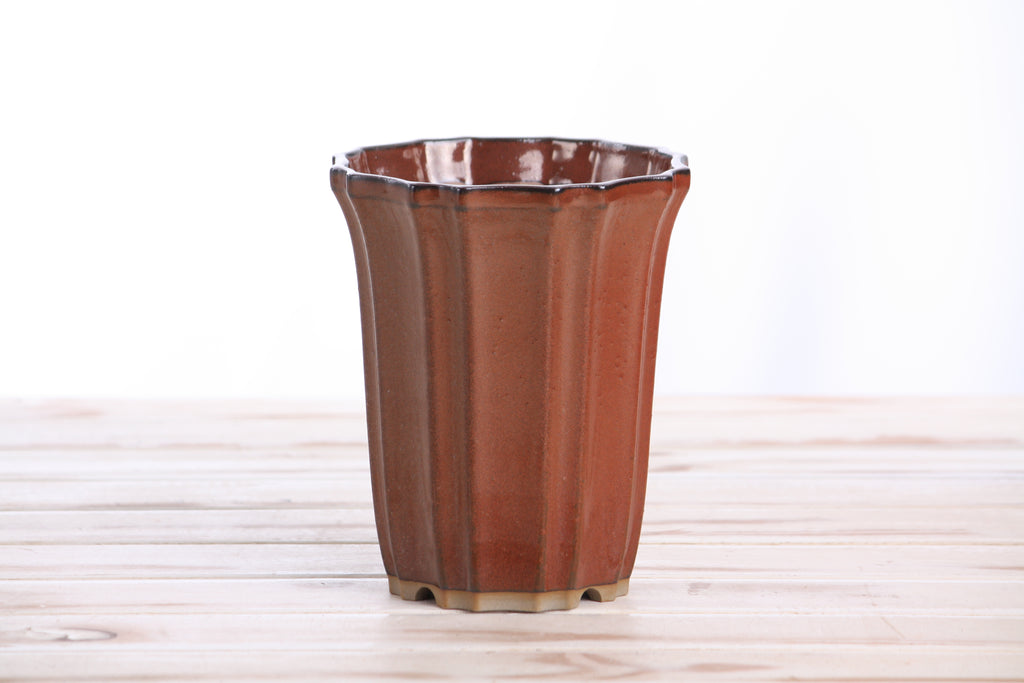 Willow Bonsai Ceramics Flower Design Cascade Bonsai Pot 5 Inch – Elegant Tall Ceramic Bonsai & Succulent Planter, High‑Fired Frost‑Proof Stoneware with Drainage & Wiring Holes, Handmade in USA (Sunset)