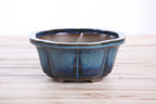 Lotus A Bonsai Pot 6 Inch – Semi‑Cascade Ceramic Planter with Scalloped Sides, High‑Fired Frost‑Proof Stoneware, Handmade in USA (Peacock)