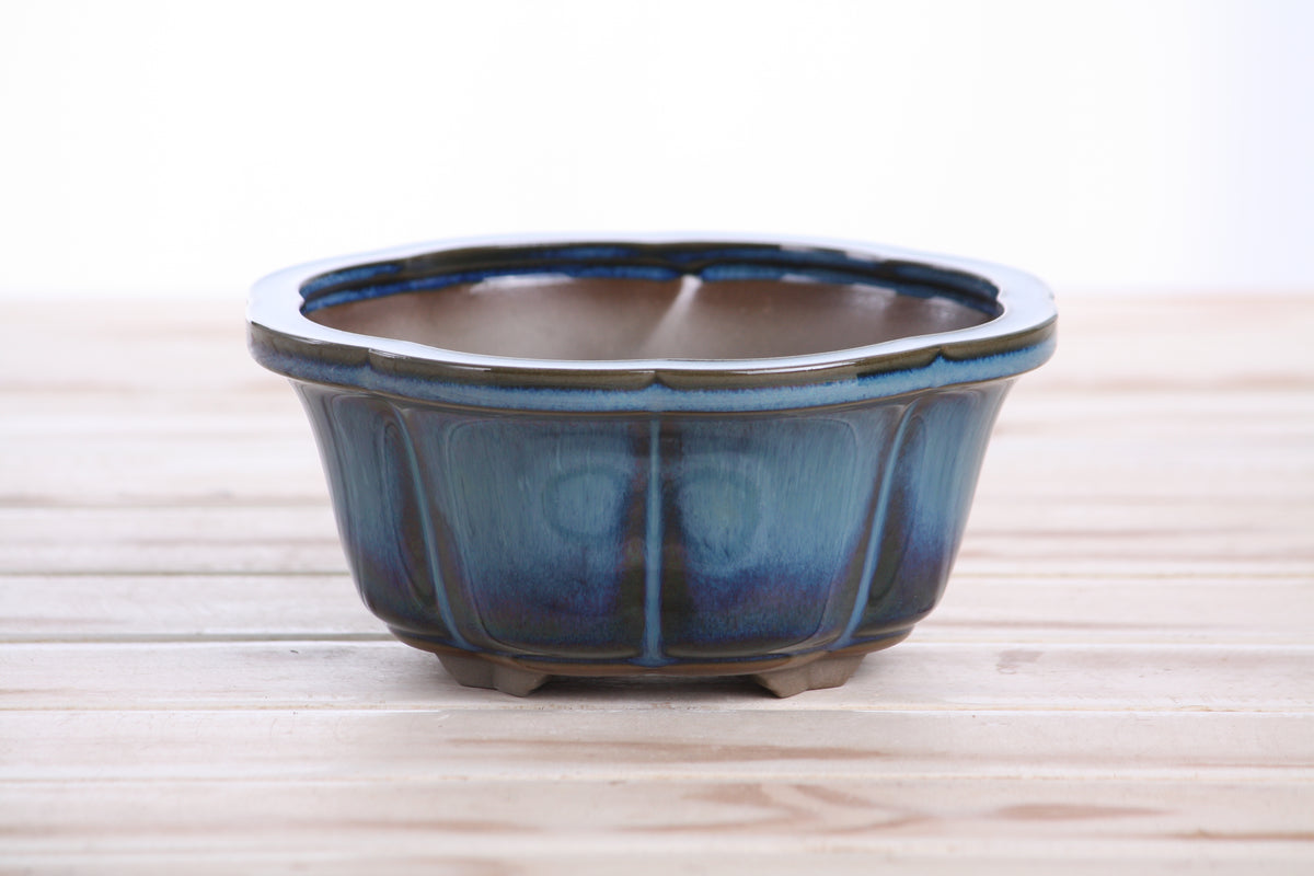 Lotus A Bonsai Pot 6 Inch – Semi‑Cascade Ceramic Planter with Scalloped Sides, High‑Fired Frost‑Proof Stoneware, Handmade in USA (Peacock)