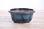 Lotus A Bonsai Pot 6 Inch – Semi‑Cascade Ceramic Planter with Scalloped Sides, High‑Fired Frost‑Proof Stoneware, Handmade in USA (Peacock)