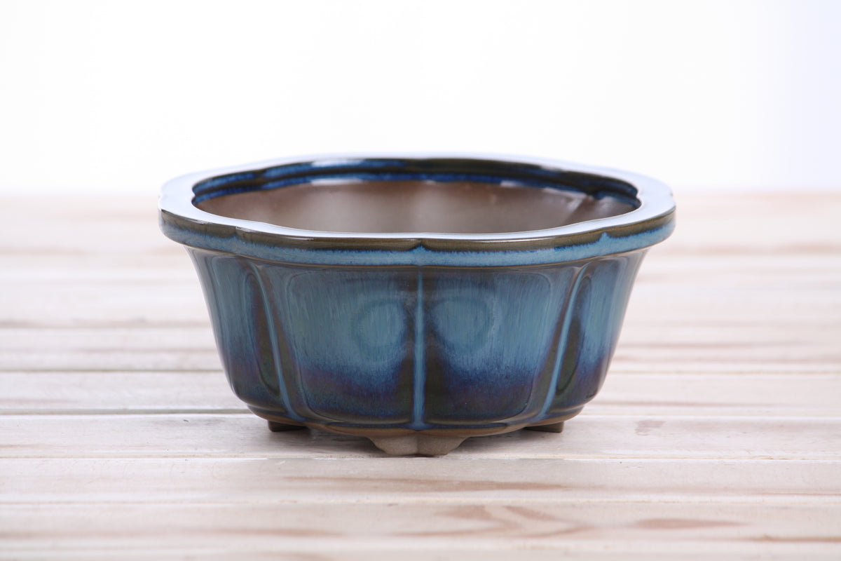 Lotus A Bonsai Pot 6 Inch – Semi‑Cascade Ceramic Planter with Scalloped Sides, High‑Fired Frost‑Proof Stoneware, Handmade in USA (Peacock)