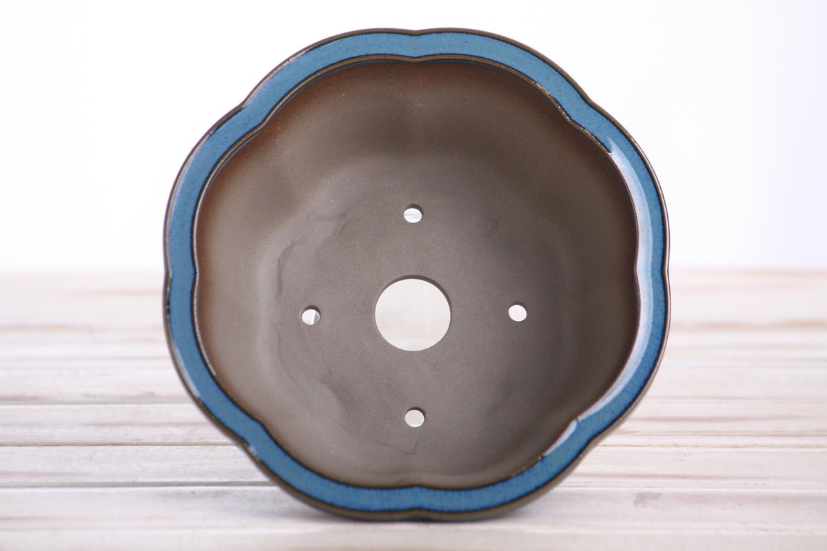 Lotus A Bonsai Pot 6 Inch – Semi‑Cascade Ceramic Planter with Scalloped Sides, High‑Fired Frost‑Proof Stoneware, Handmade in USA (Peacock)