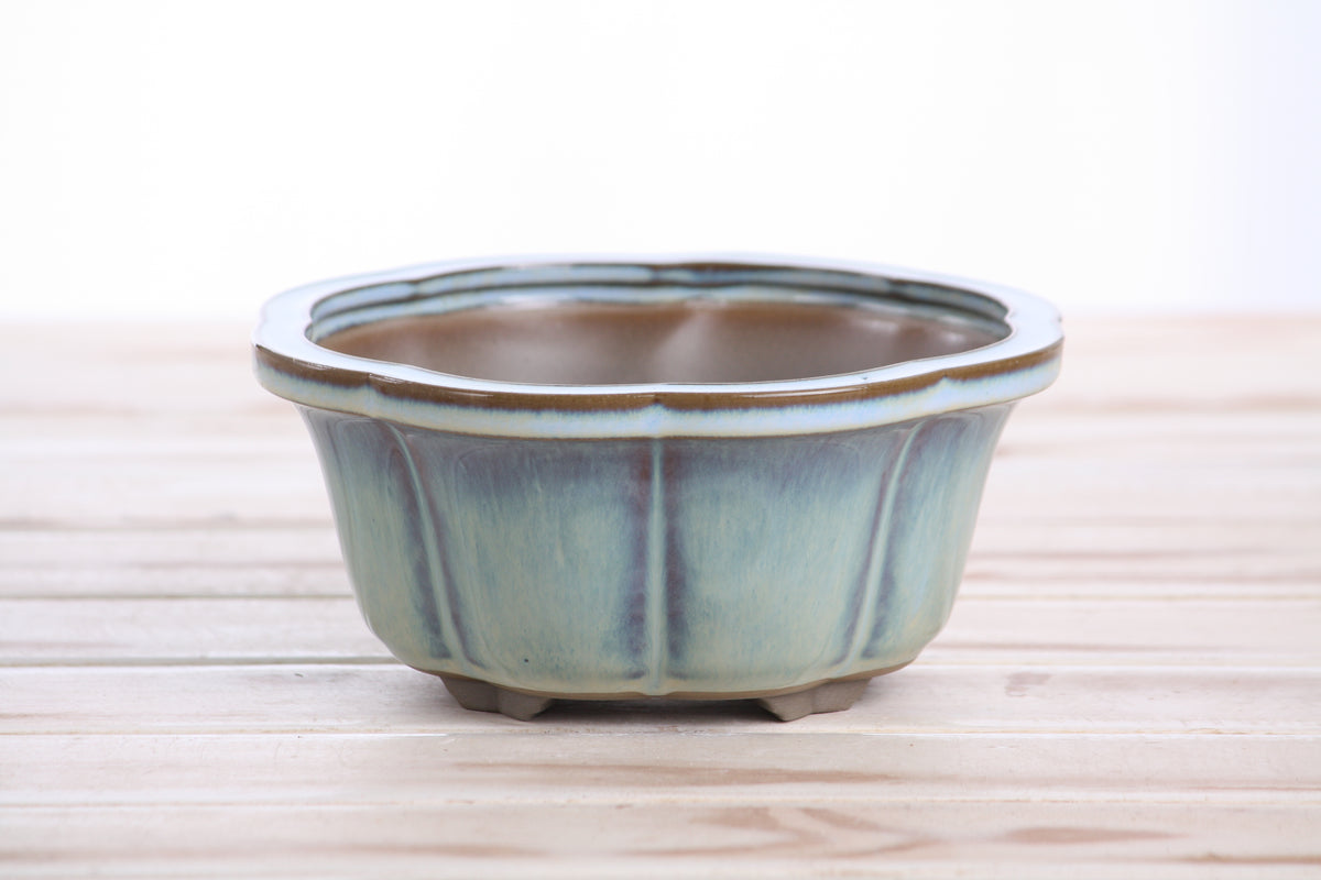 Lotus A Bonsai Pot 6 Inch – Semi‑Cascade Ceramic Planter with Scalloped Sides, High‑Fired Frost‑Proof Stoneware, Handmade in USA (Glacier)