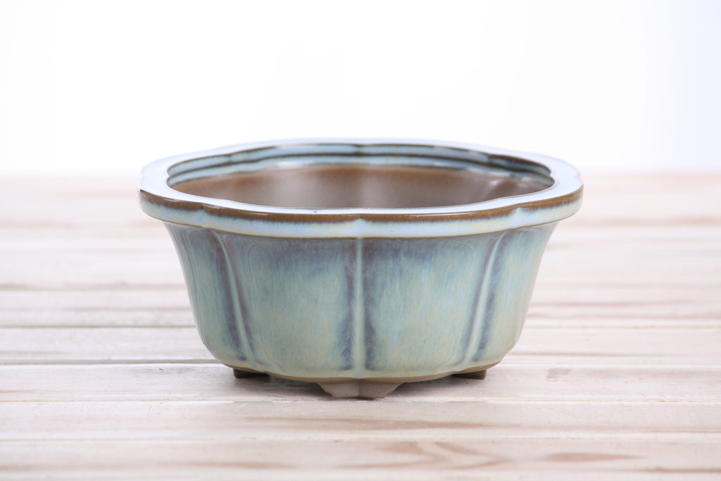 Lotus A Bonsai Pot 6 Inch – Semi‑Cascade Ceramic Planter with Scalloped Sides, High‑Fired Frost‑Proof Stoneware, Handmade in USA (Glacier)