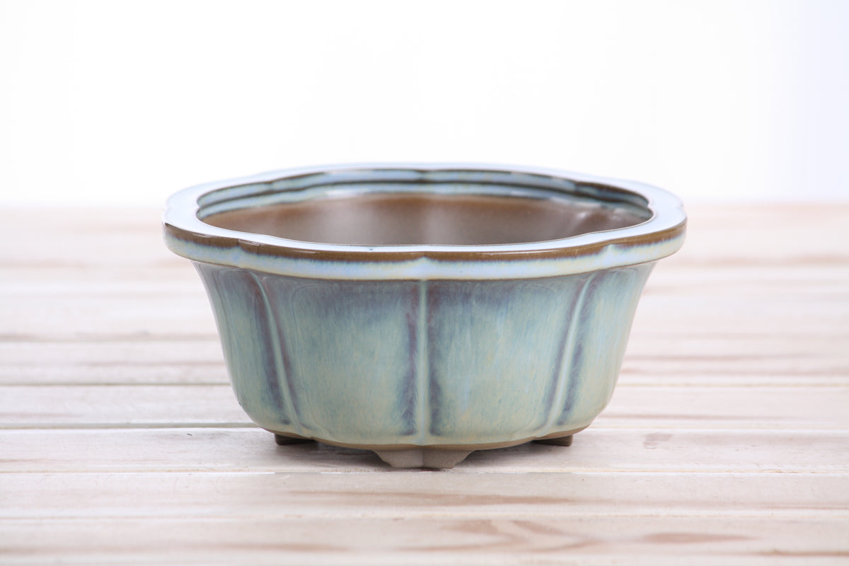 Lotus A Bonsai Pot 6 Inch – Semi‑Cascade Ceramic Planter with Scalloped Sides, High‑Fired Frost‑Proof Stoneware, Handmade in USA (Glacier)