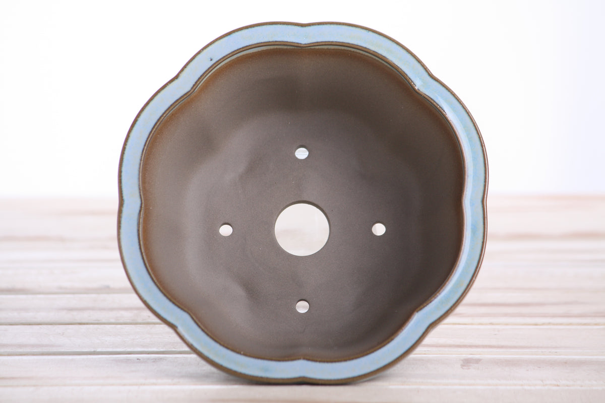 Lotus A Bonsai Pot 6 Inch – Semi‑Cascade Ceramic Planter with Scalloped Sides, High‑Fired Frost‑Proof Stoneware, Handmade in USA (Glacier)