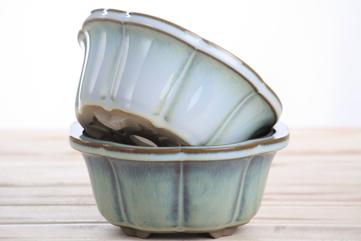 Lotus A Bonsai Pot 6 Inch – Semi‑Cascade Ceramic Planter with Scalloped Sides, High‑Fired Frost‑Proof Stoneware, Handmade in USA (Glacier)