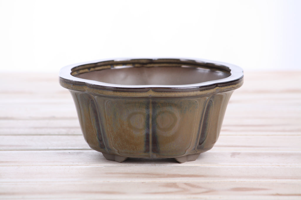 Lotus A Bonsai Pot 6 Inch – Semi‑Cascade Ceramic Planter with Scalloped Sides, High‑Fired Frost‑Proof Stoneware, Handmade in USA (Dark Honey)