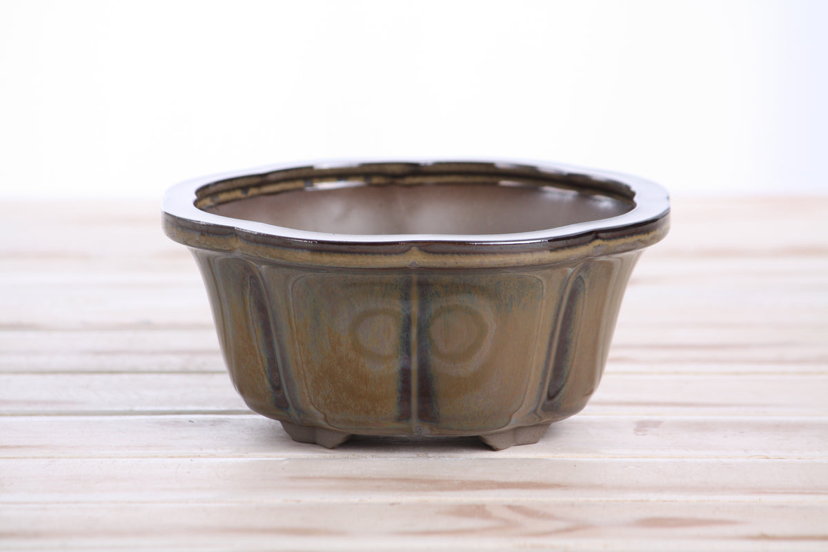 Lotus A Bonsai Pot 6 Inch – Semi‑Cascade Ceramic Planter with Scalloped Sides, High‑Fired Frost‑Proof Stoneware, Handmade in USA (Dark Honey)
