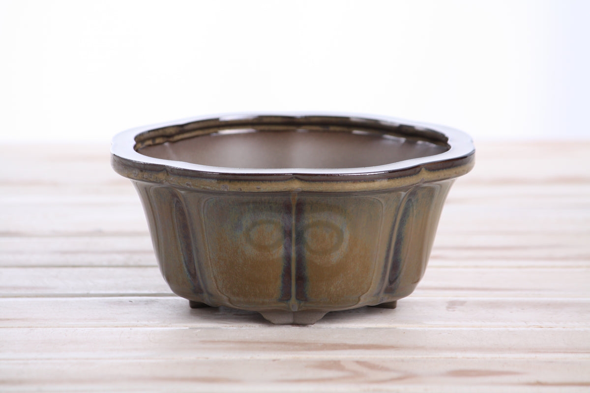 Lotus A Bonsai Pot 6 Inch – Semi‑Cascade Ceramic Planter with Scalloped Sides, High‑Fired Frost‑Proof Stoneware, Handmade in USA (Dark Honey)