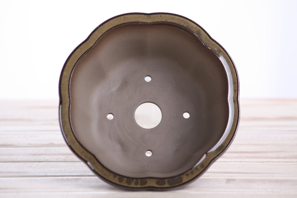 Lotus A Bonsai Pot 6 Inch – Semi‑Cascade Ceramic Planter with Scalloped Sides, High‑Fired Frost‑Proof Stoneware, Handmade in USA (Dark Honey)