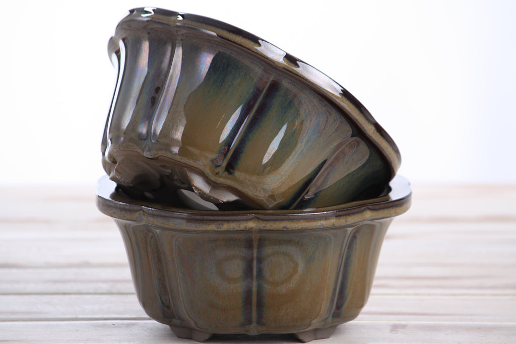 Lotus A Bonsai Pot 6 Inch – Semi‑Cascade Ceramic Planter with Scalloped Sides, High‑Fired Frost‑Proof Stoneware, Handmade in USA (Dark Honey)