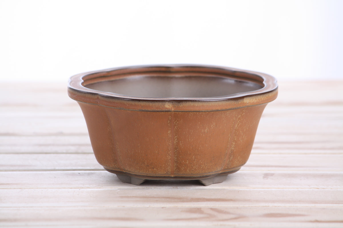 Lotus A Bonsai Pot 6 Inch – Semi‑Cascade Ceramic Planter with Scalloped Sides, High‑Fired Frost‑Proof Stoneware, Handmade in USA (Deep Stone)