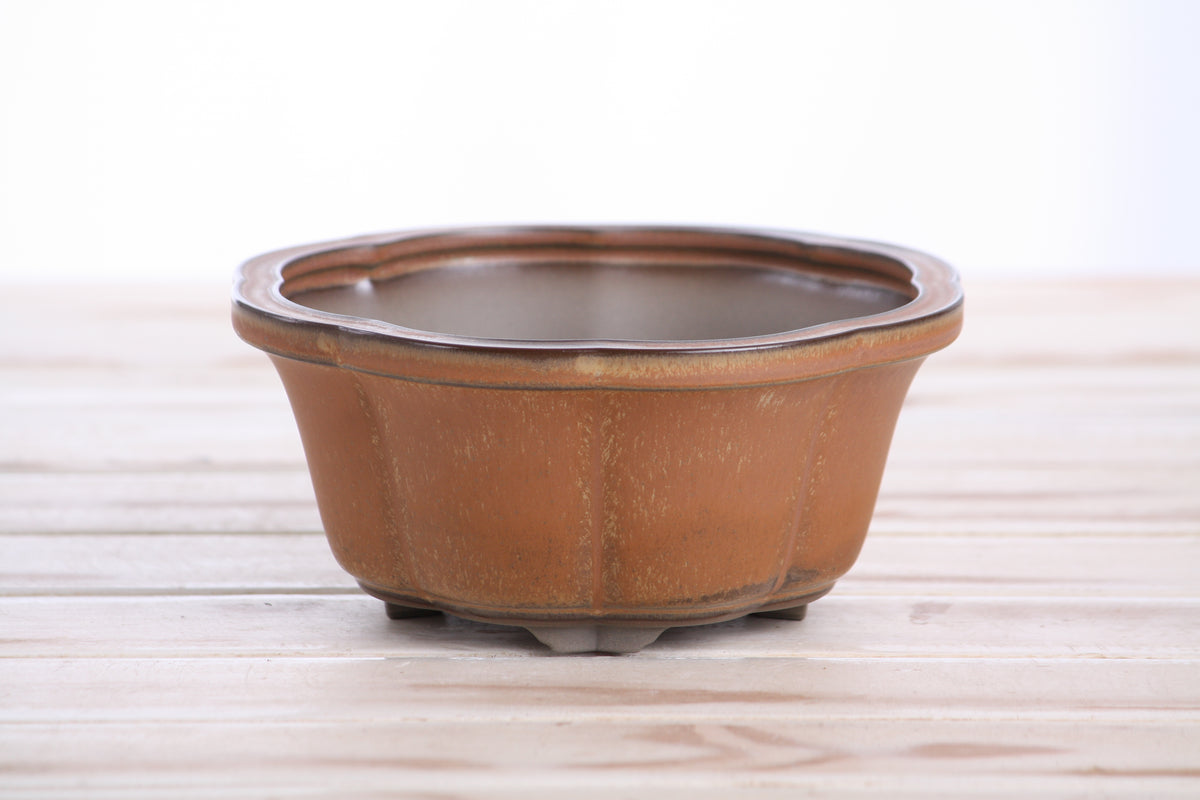 Lotus A Bonsai Pot 6 Inch – Semi‑Cascade Ceramic Planter with Scalloped Sides, High‑Fired Frost‑Proof Stoneware, Handmade in USA (Deep Stone)