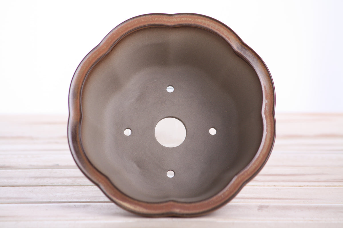 Lotus A Bonsai Pot 6 Inch – Semi‑Cascade Ceramic Planter with Scalloped Sides, High‑Fired Frost‑Proof Stoneware, Handmade in USA (Deep Stone)