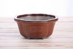 Lotus A Bonsai Pot 6 Inch – Semi‑Cascade Ceramic Planter with Scalloped Sides, High‑Fired Frost‑Proof Stoneware, Handmade in USA (Sunset)