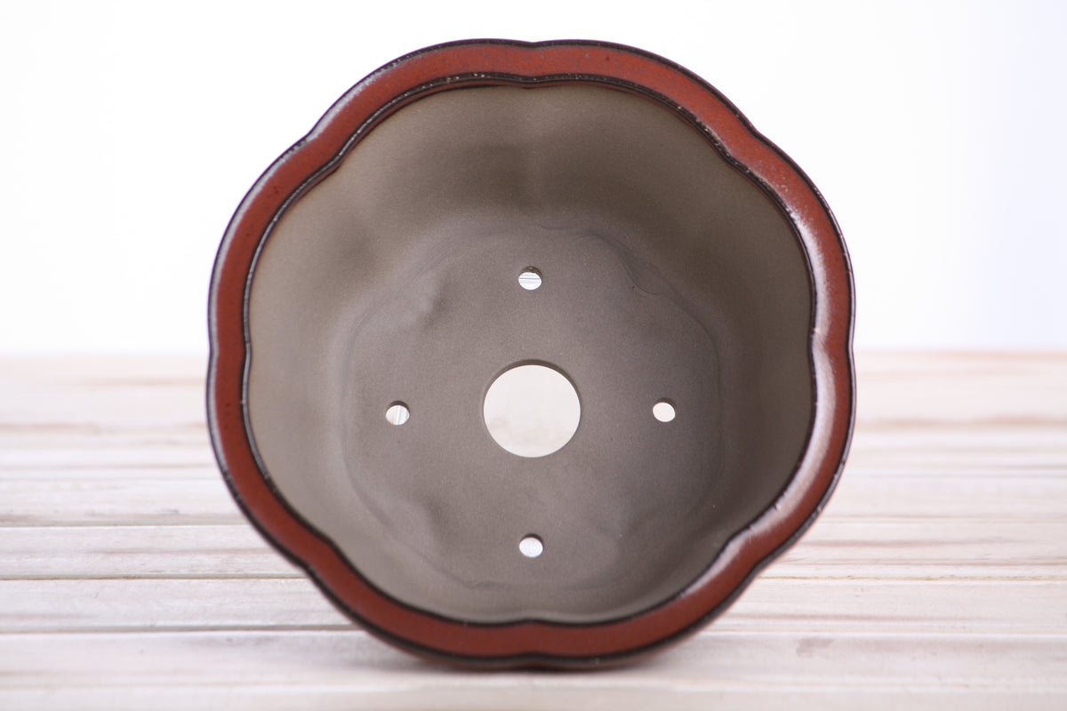 Lotus A Bonsai Pot 6 Inch – Semi‑Cascade Ceramic Planter with Scalloped Sides, High‑Fired Frost‑Proof Stoneware, Handmade in USA (Sunset)