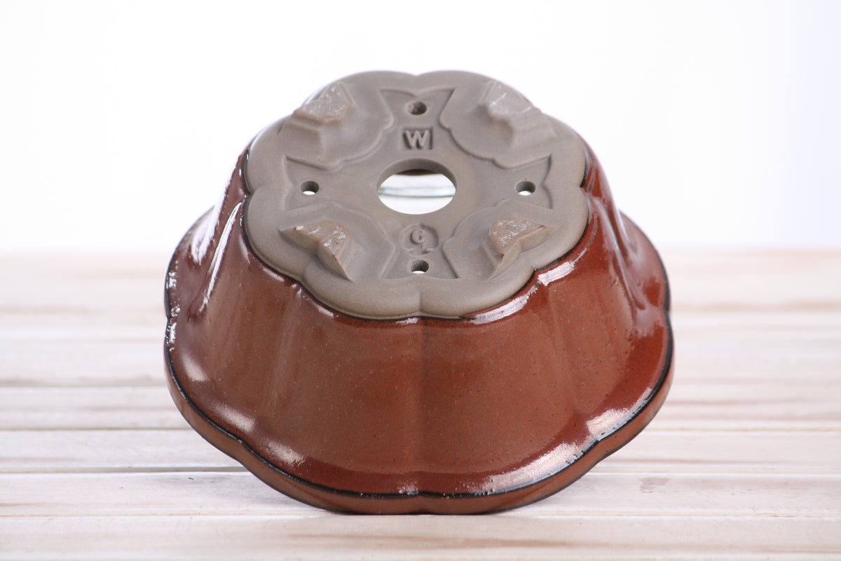 Lotus A Bonsai Pot 6 Inch – Semi‑Cascade Ceramic Planter with Scalloped Sides, High‑Fired Frost‑Proof Stoneware, Handmade in USA (Sunset)