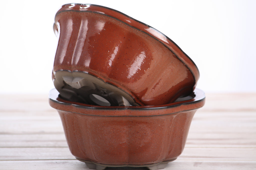 Lotus A Bonsai Pot 6 Inch – Semi‑Cascade Ceramic Planter with Scalloped Sides, High‑Fired Frost‑Proof Stoneware, Handmade in USA (Sunset)