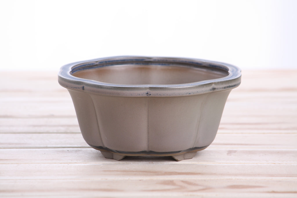 Lotus A Bonsai Pot 6 Inch – Semi‑Cascade Ceramic Planter with Scalloped Sides, High‑Fired Frost‑Proof Stoneware, Handmade in USA (Ocean)