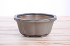Lotus A Bonsai Pot 6 Inch – Semi‑Cascade Ceramic Planter with Scalloped Sides, High‑Fired Frost‑Proof Stoneware, Handmade in USA (Ocean)