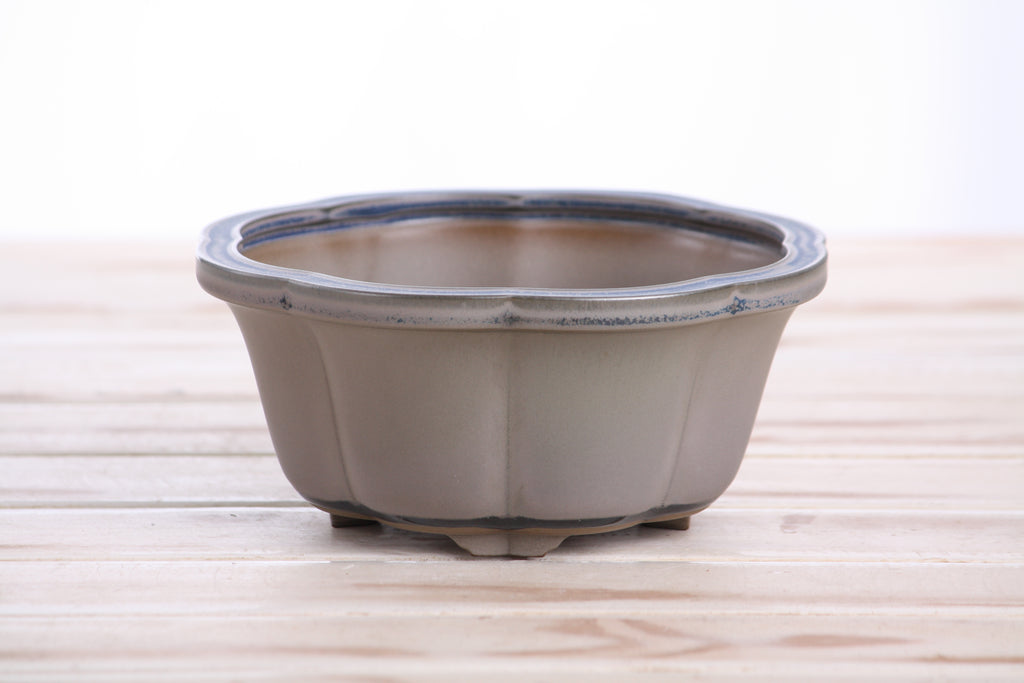 Lotus A Bonsai Pot 6 Inch – Semi‑Cascade Ceramic Planter with Scalloped Sides, High‑Fired Frost‑Proof Stoneware, Handmade in USA (Ocean)