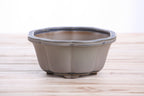 Lotus A Bonsai Pot 6 Inch – Semi‑Cascade Ceramic Planter with Scalloped Sides, High‑Fired Frost‑Proof Stoneware, Handmade in USA (Ocean)