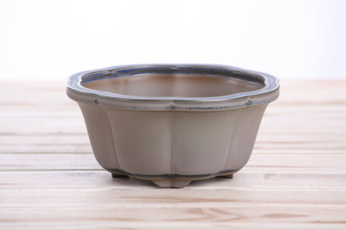 Lotus A Bonsai Pot 6 Inch – Semi‑Cascade Ceramic Planter with Scalloped Sides, High‑Fired Frost‑Proof Stoneware, Handmade in USA (Ocean)