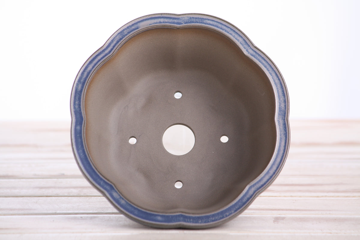 Lotus A Bonsai Pot 6 Inch – Semi‑Cascade Ceramic Planter with Scalloped Sides, High‑Fired Frost‑Proof Stoneware, Handmade in USA (Ocean)