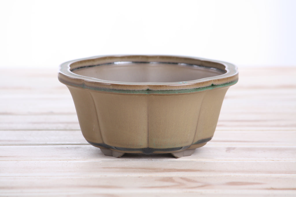 Lotus A Bonsai Pot 6 Inch – Semi‑Cascade Ceramic Planter with Scalloped Sides, High‑Fired Frost‑Proof Stoneware, Handmade in USA (Speckled Moss)