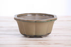 Lotus A Bonsai Pot 6 Inch – Semi‑Cascade Ceramic Planter with Scalloped Sides, High‑Fired Frost‑Proof Stoneware, Handmade in USA (Speckled Moss)