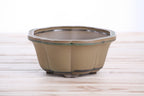 Lotus A Bonsai Pot 6 Inch – Semi‑Cascade Ceramic Planter with Scalloped Sides, High‑Fired Frost‑Proof Stoneware, Handmade in USA (Speckled Moss)