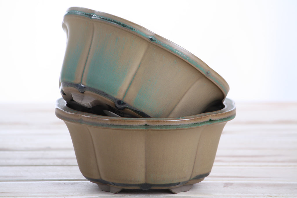 Lotus A Bonsai Pot 6 Inch – Semi‑Cascade Ceramic Planter with Scalloped Sides, High‑Fired Frost‑Proof Stoneware, Handmade in USA (Speckled Moss)