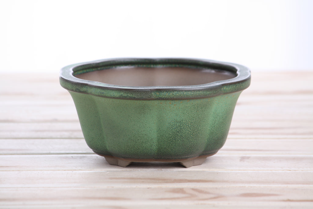 Lotus A Bonsai Pot 6 Inch – Semi‑Cascade Ceramic Planter with Scalloped Sides, High‑Fired Frost‑Proof Stoneware, Handmade in USA (Avocado)