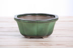 Lotus A Bonsai Pot 6 Inch – Semi‑Cascade Ceramic Planter with Scalloped Sides, High‑Fired Frost‑Proof Stoneware, Handmade in USA (Avocado)