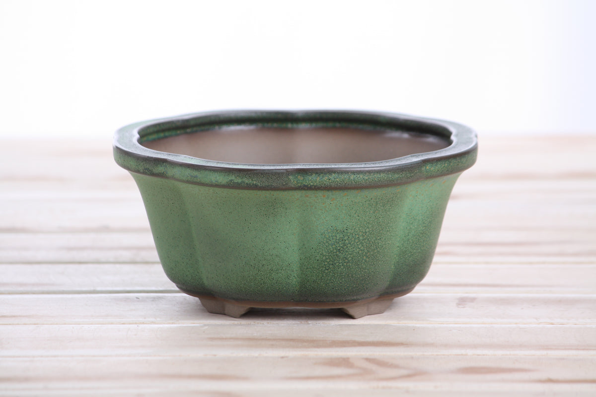 Lotus A Bonsai Pot 6 Inch – Semi‑Cascade Ceramic Planter with Scalloped Sides, High‑Fired Frost‑Proof Stoneware, Handmade in USA (Avocado)