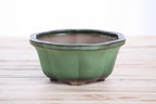Lotus A Bonsai Pot 6 Inch – Semi‑Cascade Ceramic Planter with Scalloped Sides, High‑Fired Frost‑Proof Stoneware, Handmade in USA (Avocado)
