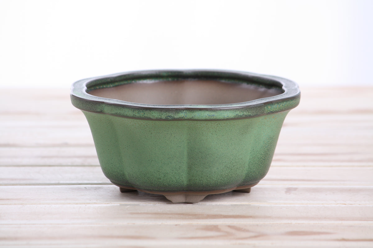 Lotus A Bonsai Pot 6 Inch – Semi‑Cascade Ceramic Planter with Scalloped Sides, High‑Fired Frost‑Proof Stoneware, Handmade in USA (Avocado)