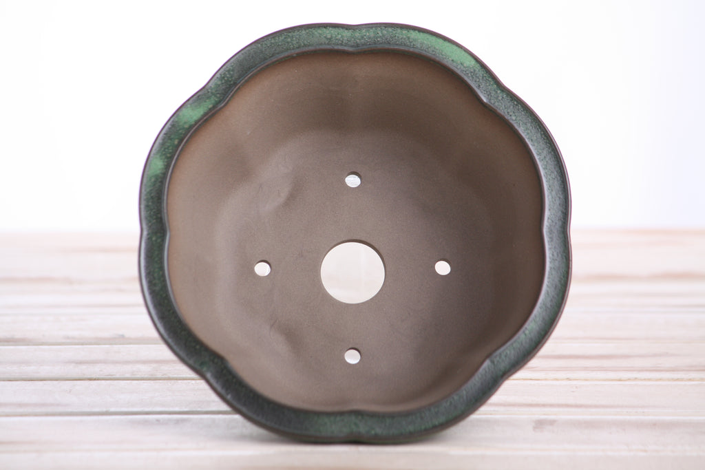 Lotus A Bonsai Pot 6 Inch – Semi‑Cascade Ceramic Planter with Scalloped Sides, High‑Fired Frost‑Proof Stoneware, Handmade in USA (Avocado)