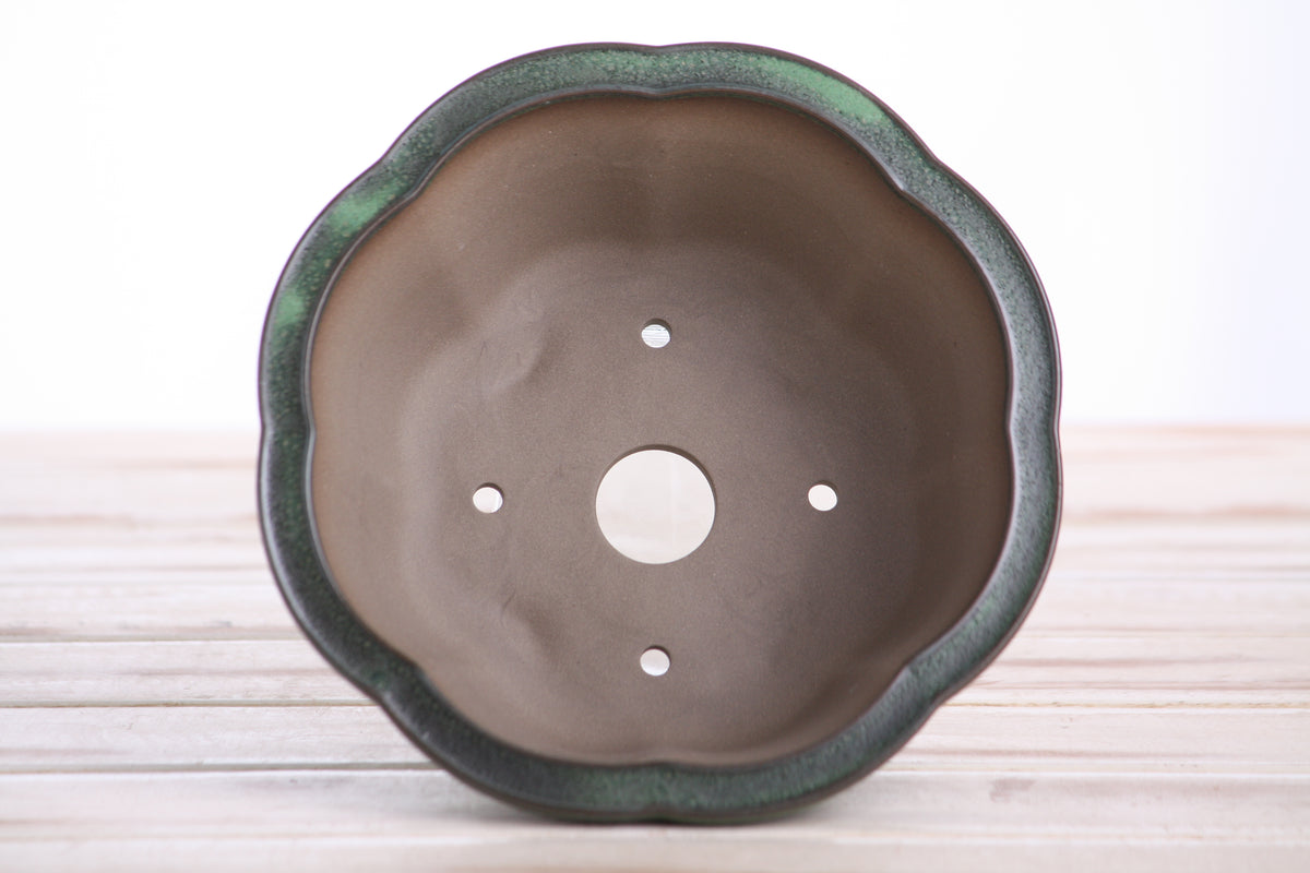 Lotus A Bonsai Pot 6 Inch – Semi‑Cascade Ceramic Planter with Scalloped Sides, High‑Fired Frost‑Proof Stoneware, Handmade in USA (Avocado)