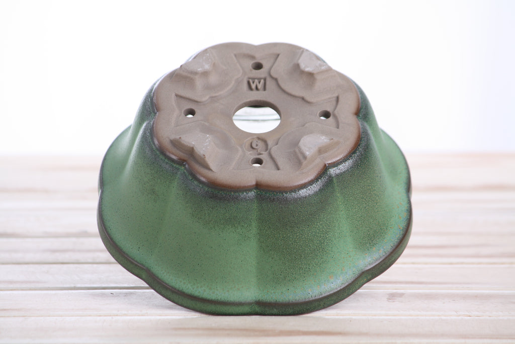 Lotus A Bonsai Pot 6 Inch – Semi‑Cascade Ceramic Planter with Scalloped Sides, High‑Fired Frost‑Proof Stoneware, Handmade in USA (Avocado)