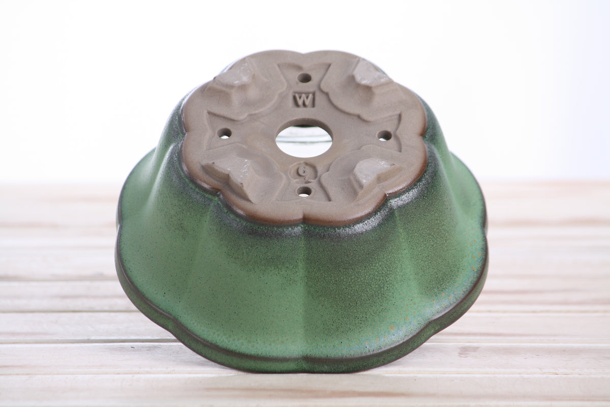 Lotus A Bonsai Pot 6 Inch – Semi‑Cascade Ceramic Planter with Scalloped Sides, High‑Fired Frost‑Proof Stoneware, Handmade in USA (Avocado)