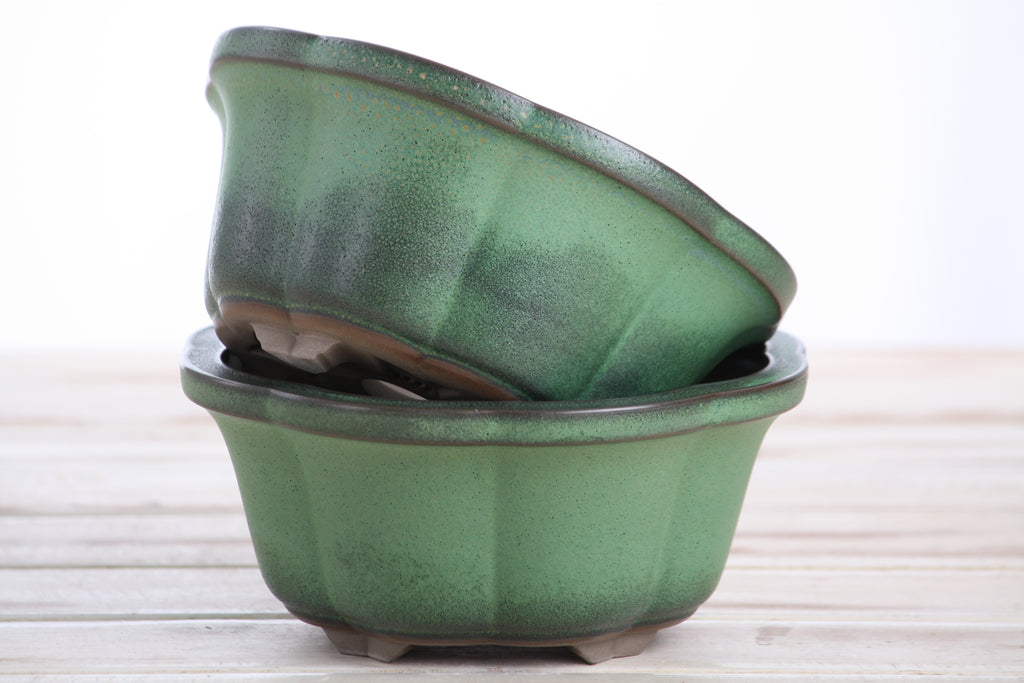 Lotus A Bonsai Pot 6 Inch – Semi‑Cascade Ceramic Planter with Scalloped Sides, High‑Fired Frost‑Proof Stoneware, Handmade in USA (Avocado)