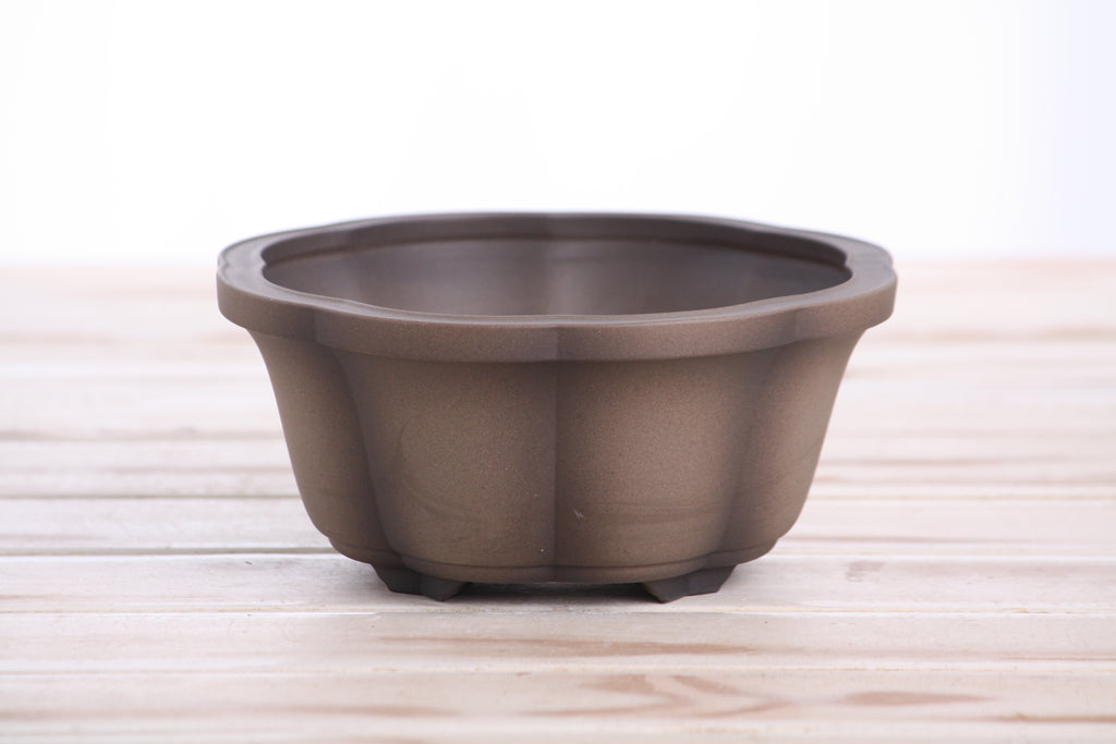 Lotus A Bonsai Pot 6 Inch – Semi‑Cascade Ceramic Planter with Scalloped Sides, High‑Fired Frost‑Proof Stoneware, Handmade in USA (Shaded Unglazed)