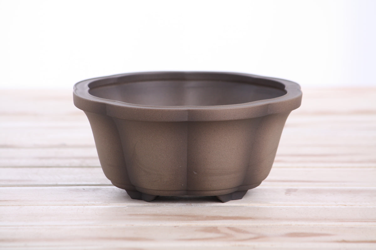 Lotus A Bonsai Pot 6 Inch – Semi‑Cascade Ceramic Planter with Scalloped Sides, High‑Fired Frost‑Proof Stoneware, Handmade in USA (Shaded Unglazed)