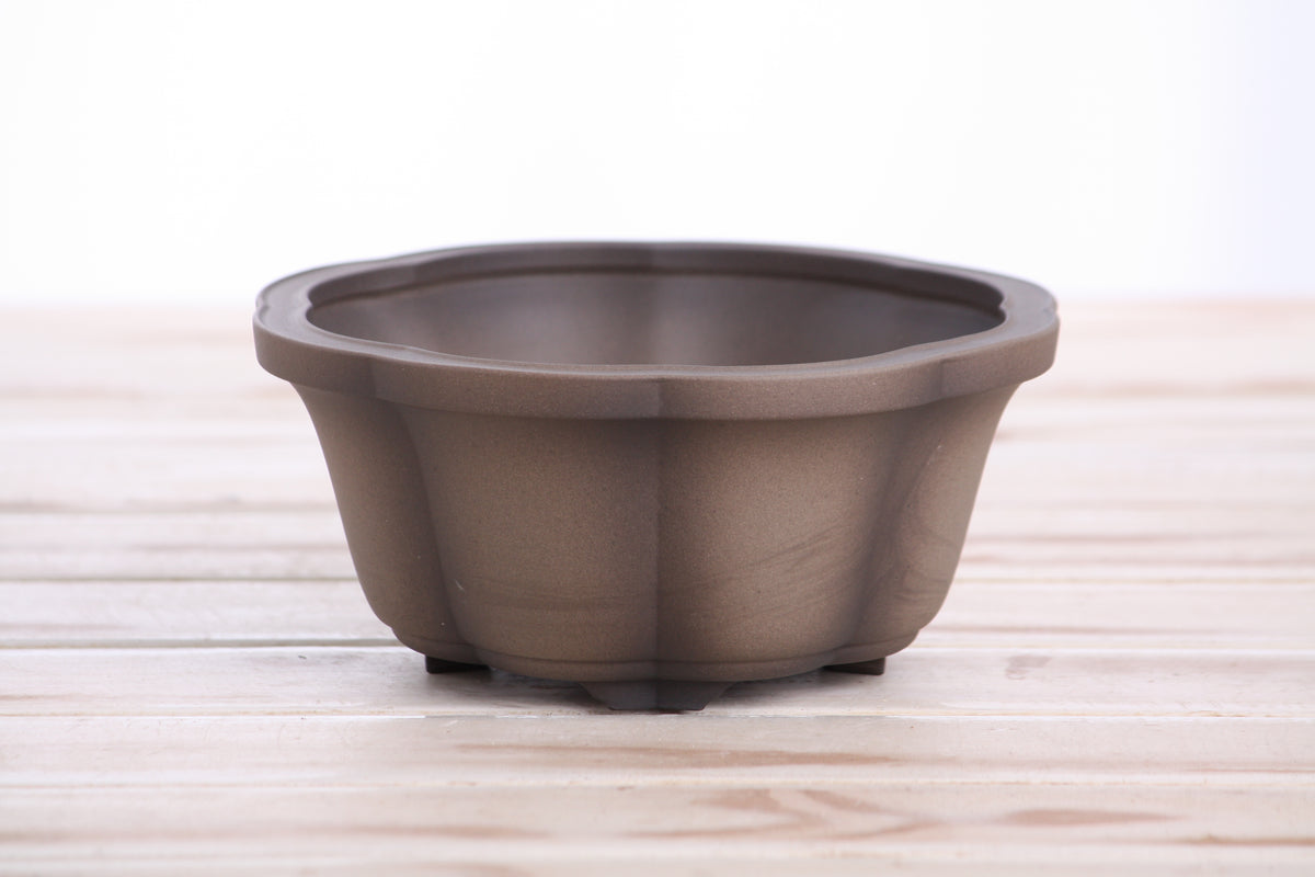 Lotus A Bonsai Pot 6 Inch – Semi‑Cascade Ceramic Planter with Scalloped Sides, High‑Fired Frost‑Proof Stoneware, Handmade in USA (Shaded Unglazed)