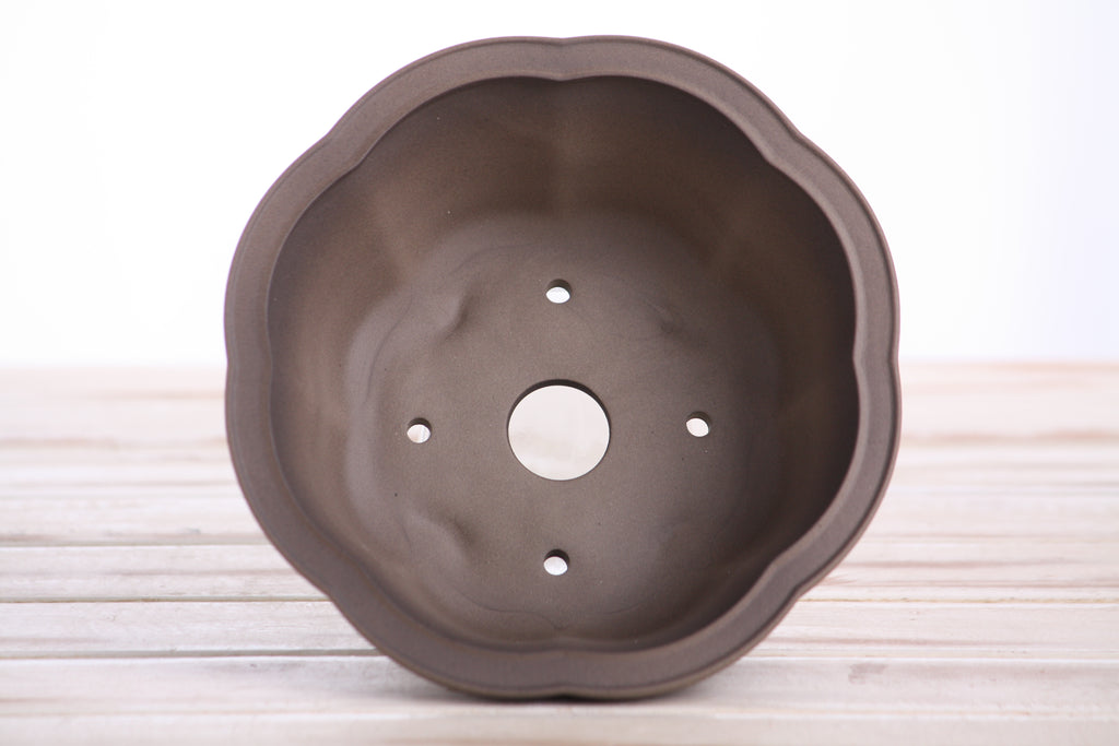 Lotus A Bonsai Pot 6 Inch – Semi‑Cascade Ceramic Planter with Scalloped Sides, High‑Fired Frost‑Proof Stoneware, Handmade in USA (Shaded Unglazed)