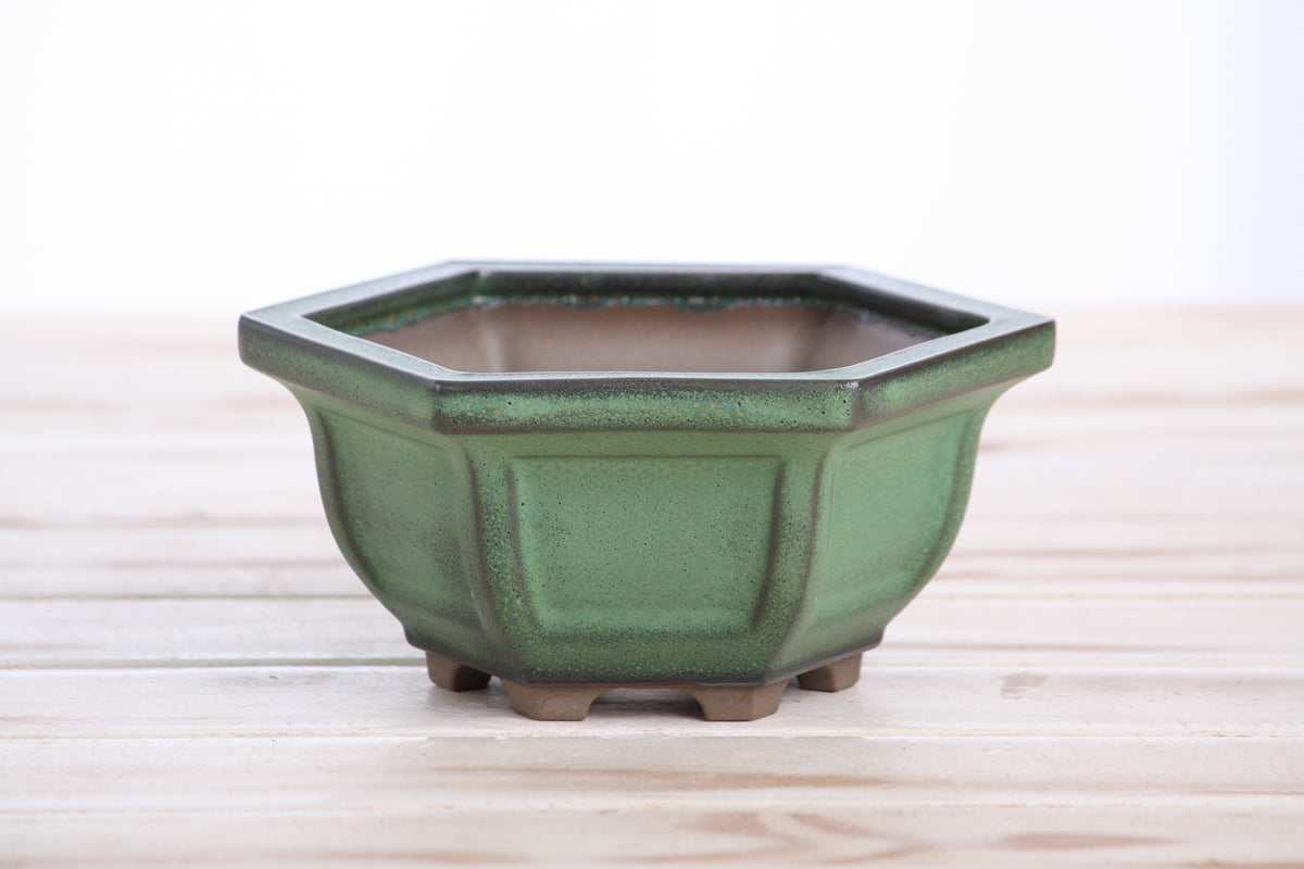 Hexagonal Windowed Semi‑Cascade Bonsai Pot 5 Inch – Ceramic Bonsai & Succulent Planter with Detailed Rim, High‑Fired Frost‑Proof Stoneware, Handmade in USA (Avocado)