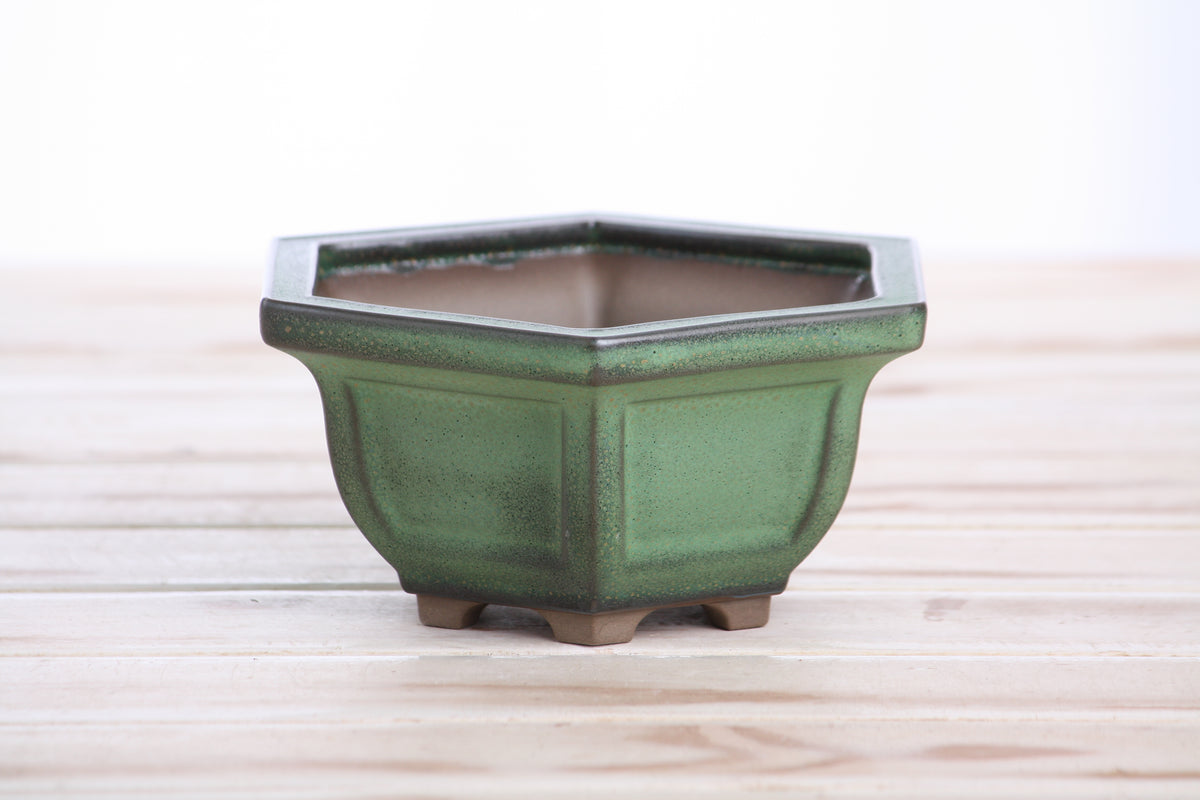 Hexagonal Windowed Semi‑Cascade Bonsai Pot 5 Inch – Ceramic Bonsai & Succulent Planter with Detailed Rim, High‑Fired Frost‑Proof Stoneware, Handmade in USA (Avocado)